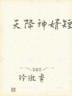 天降神婿短剧封面