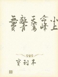 无敌天命小说免费青鸾峰上