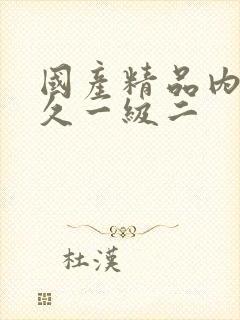 国产精品内射久久一级二