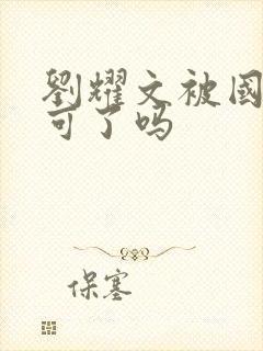 刘耀文被国家认可了吗