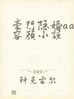豪门隐婚aa制容颜小说