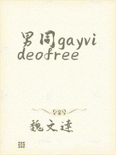 男同gayvideofree