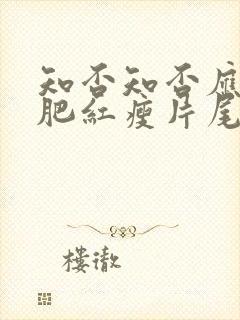 知否知否应是绿肥红瘦片尾