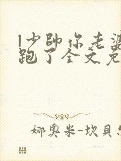 l少帅你老婆又跑了全文免费阅读