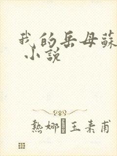 我的岳母苏沛真 小说
