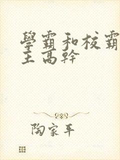 学霸和校霸双男主高干