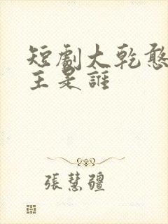 短剧大乾憨婿男主是谁封面