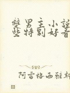 双男主小说有哪些特别好看的甜文