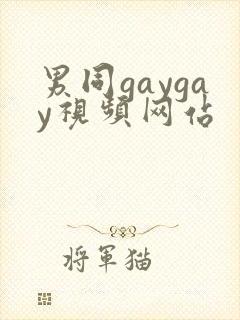 男同gaygay视频网站