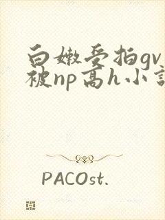白嫩受拍gv片被np高h小说