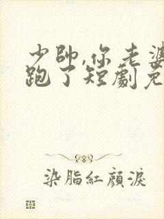 少帅,你老婆又跑了短剧免费看封面