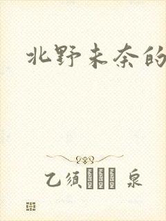 北野未奈的番号