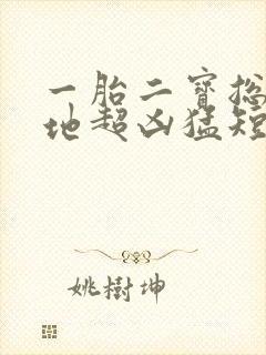 一胎二宝总裁爹地超凶猛短剧