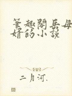 笔趣阁岳母和女婿的小说