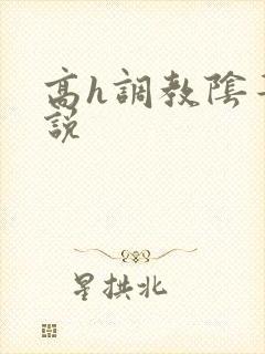 高h调教阴蒂小说封面