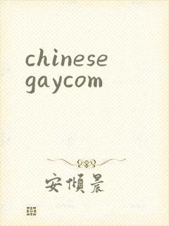 chinesegaycom封面