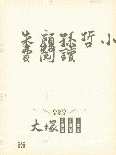 朱颜孙哲小说免费阅读