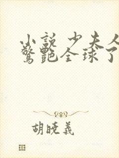 小说 少夫人她惊艳全球了