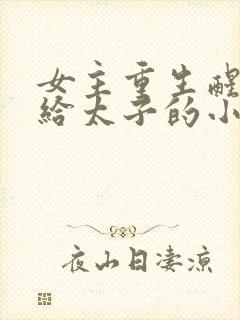 女主重生醒悟嫁给太子的小说