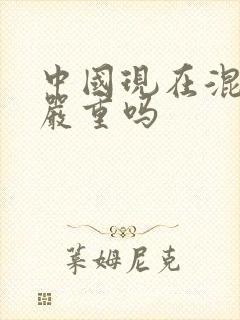 中国现在混血儿严重吗