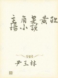 主角是黄政的官场小说