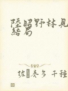 陆昭野林见疏大结局