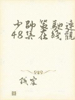 少帅策驰连续剧48集在线观看免费封面