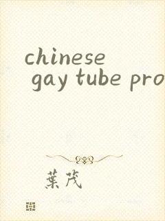 chinese gay tube pron