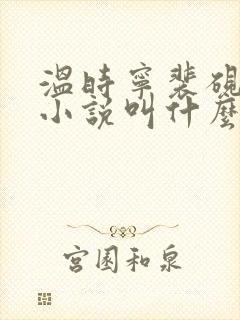 温时宁裴砚止的小说叫什么