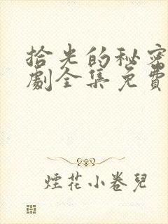 拾光的秘密电视剧全集免费观看封面