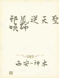 邪凤逆天圣兽召唤师