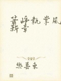 萧峥执掌风云最新章