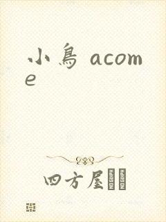小鸟 acome