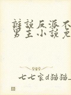 谁说反派不能当男主小说免费