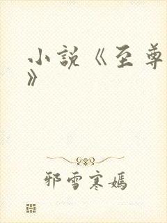 小说《至尊杂役》封面