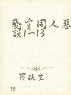 飞霄同人恶堕小说1~13