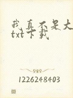 我真不是大佬 txt下载