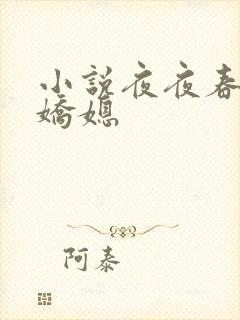 小说夜夜春宵伴娇媳