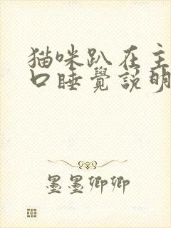 猫咪趴在主人胸口睡觉说明什么