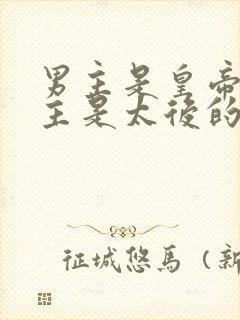 男主是皇帝,女主是太后的小说