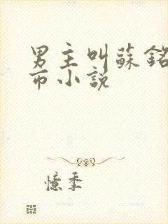 男主叫苏铭的都市小说封面