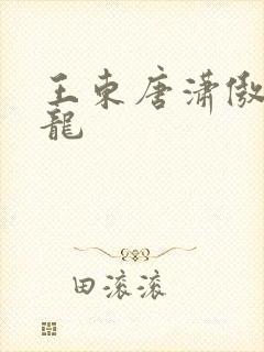 王东唐潇傲世潜龙