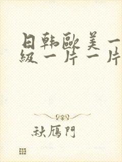 日韩欧美一级一级一片一片