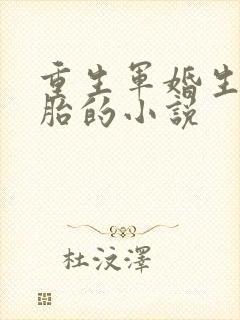 重生军婚生三胞胎的小说