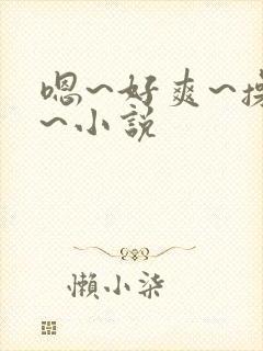 嗯~好爽~操我~小说封面