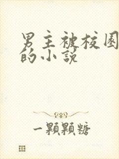 男主被校园霸凌的小说封面