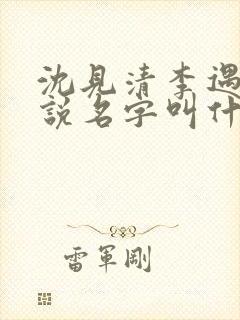 沈见清李遇泽小说名字叫什么封面
