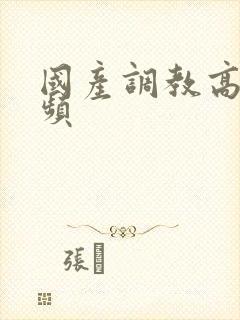 国产调教高潮视频