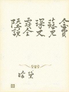 陆霆琛苏念的小说全文免费阅读