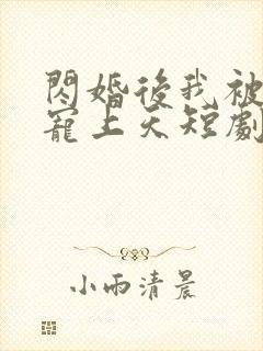 闪婚后我被总裁宠上天短剧免费观看